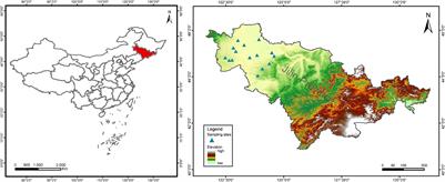 Effects of Conventional and Organic Agriculture on Soil Arbuscular Mycorrhizal Fungal Community in Low-Quality Farmland